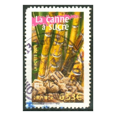 N 3776  canne à sucre